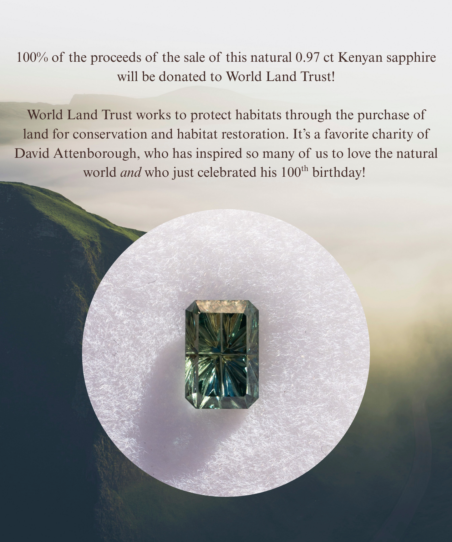 0.97 Carat Two-Tone Green Fantasy Cut Kenyan Sapphire